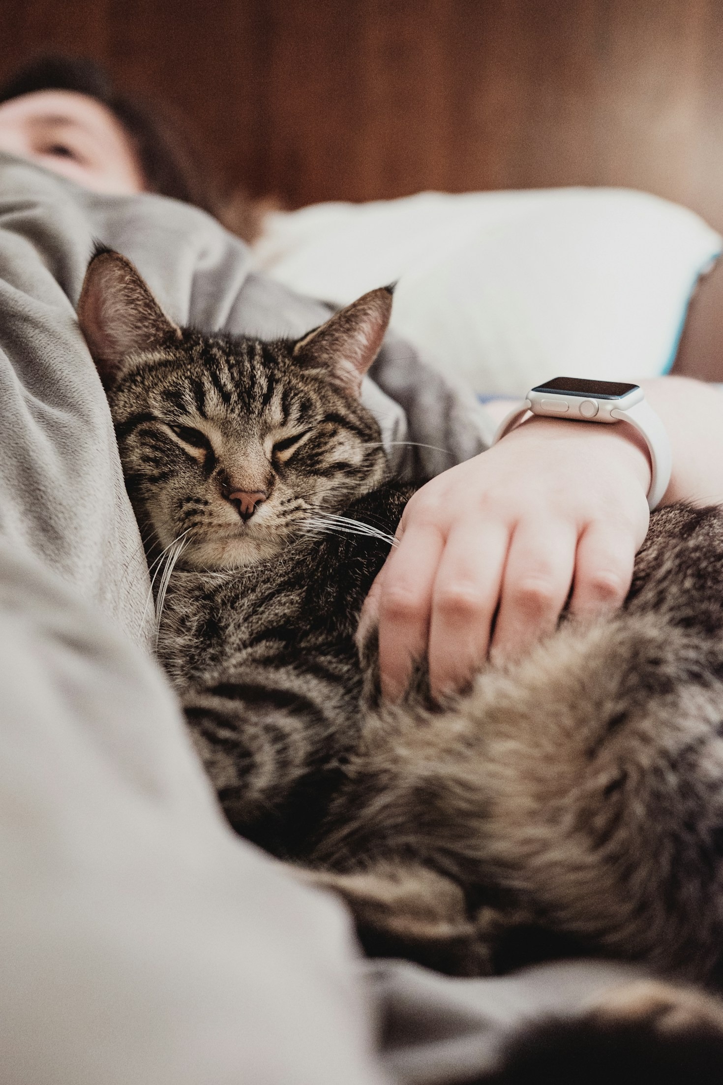 Steps to Begin Healing After Pet Loss