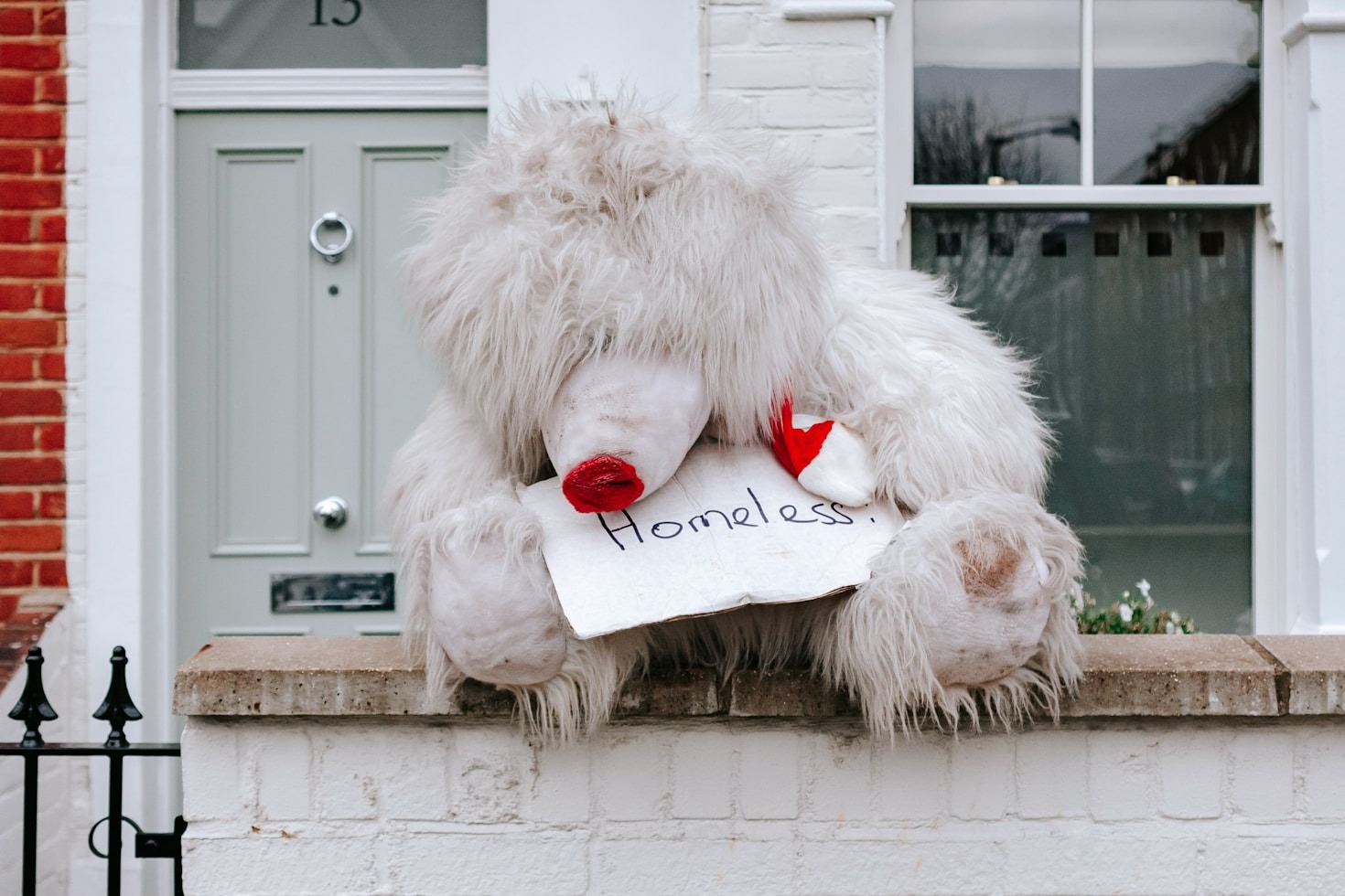 Exploring the Journey of Pet Loss Grief